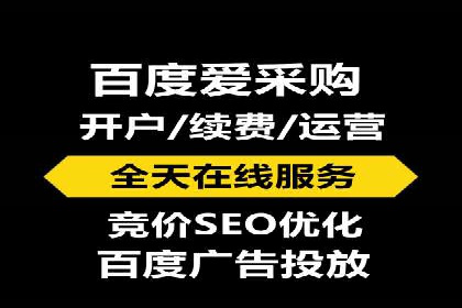 SEM托管服务案例解析：提升企业在线曝光